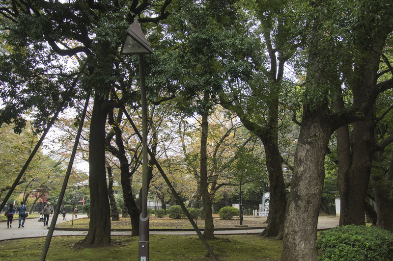 ファミリー層に嬉しい大型の公園「上野恩賜公園」